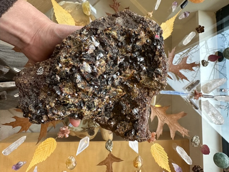 Hessonite Garnet Cluster 2.6KG WA State, USA – Minerals