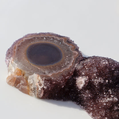 Amethyst Geode Slice “A CHICK” – small, playful, and naturally shaped like a young bird. – Rare Amethyst Cluster Stalactites Uruguay