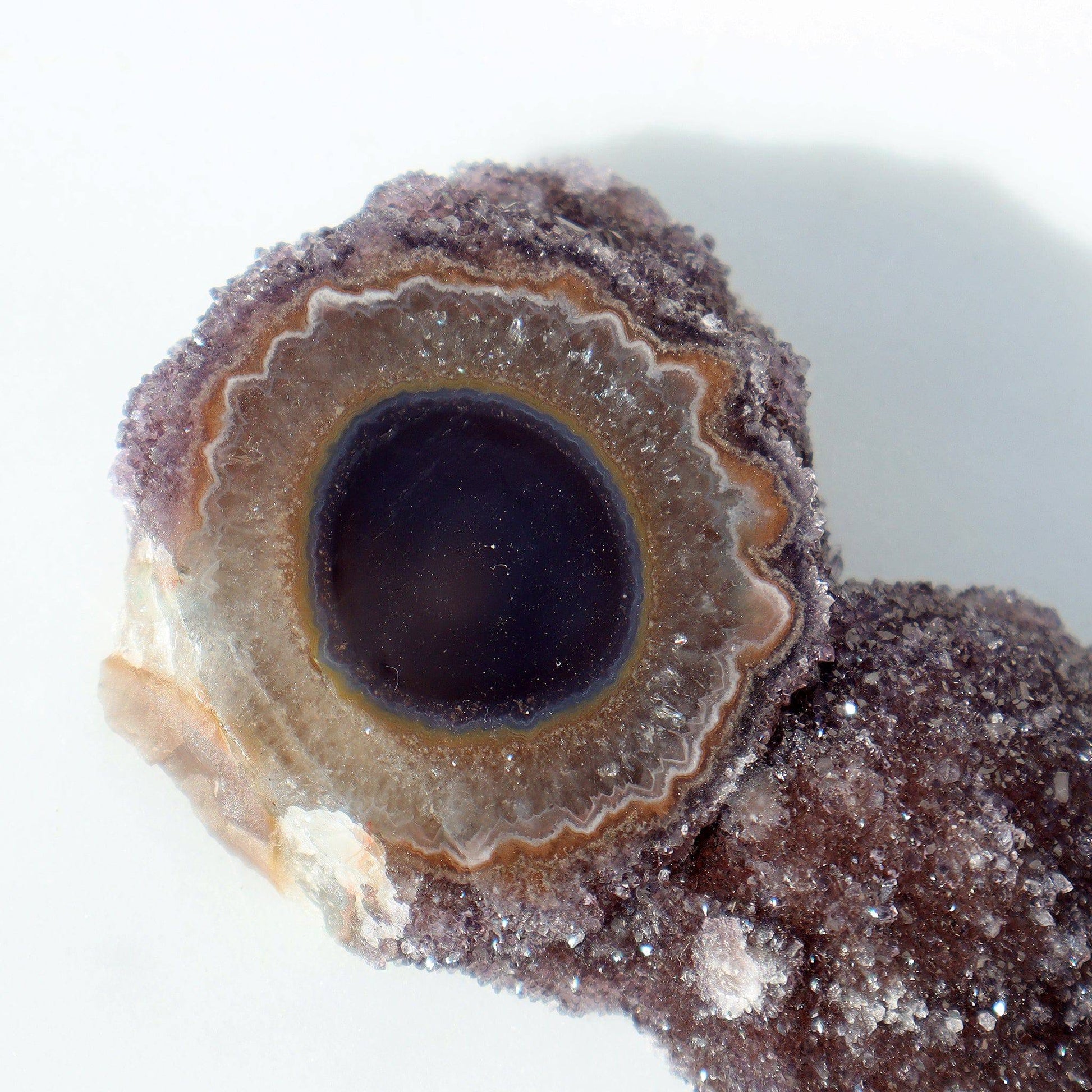 Amethyst Geode Slice “A CHICK” – small, playful, and naturally shaped like a young bird. – Rare Amethyst Cluster Stalactites Uruguay