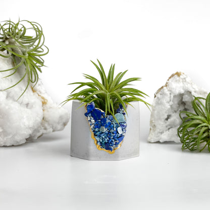 LAPIS LAZULI GEODE PLANTER – Small Geode Planter