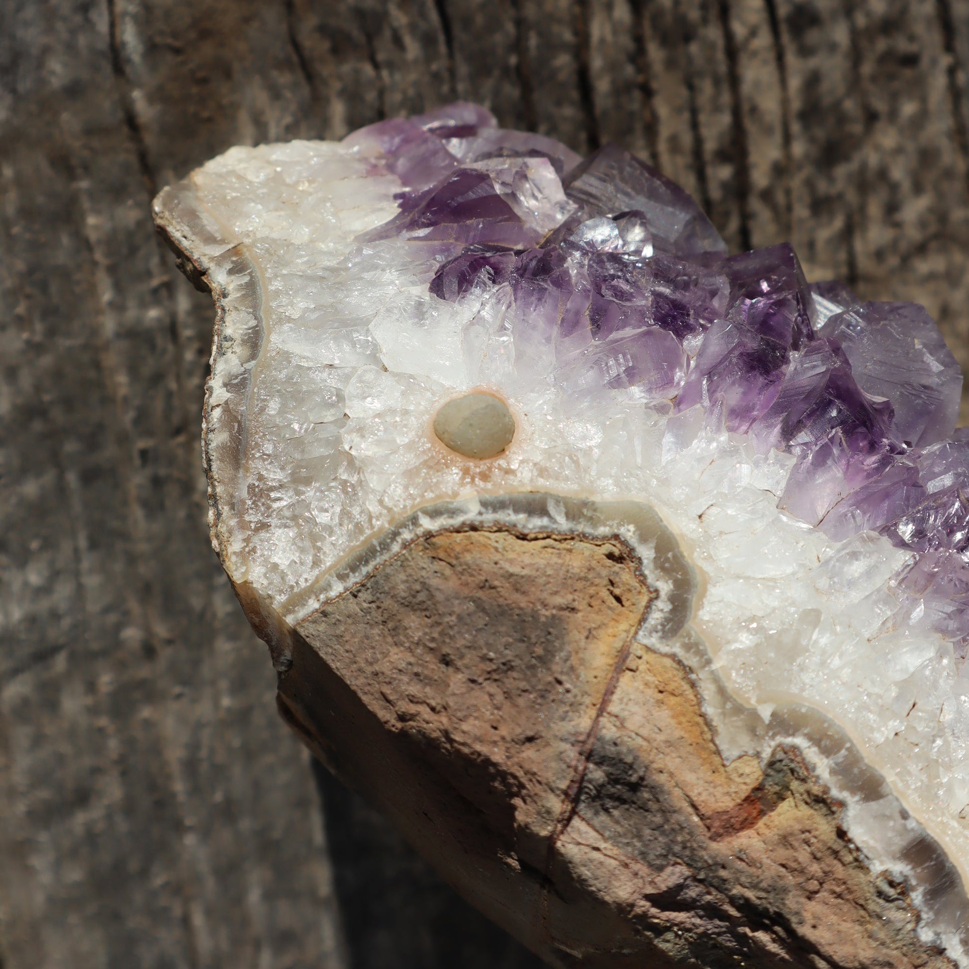 Calcites and Mineral Flower – Rare Quartz Geodes