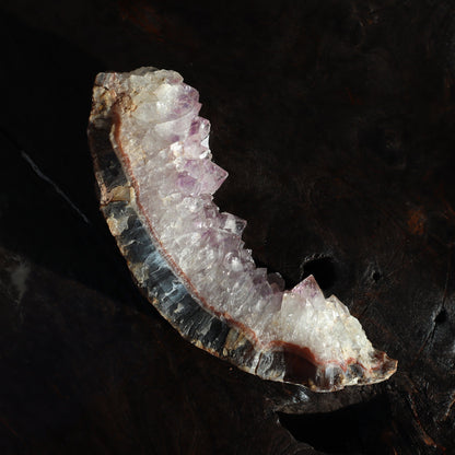 Jagged Crown Slice – Rare Quartz Geodes