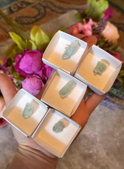Etched Aquamarine Specimens from Brazil –
