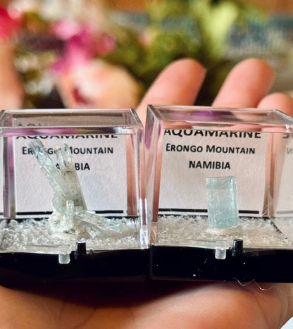 Aquamarine Specimens, Erongo Namibia, Perkie Box –