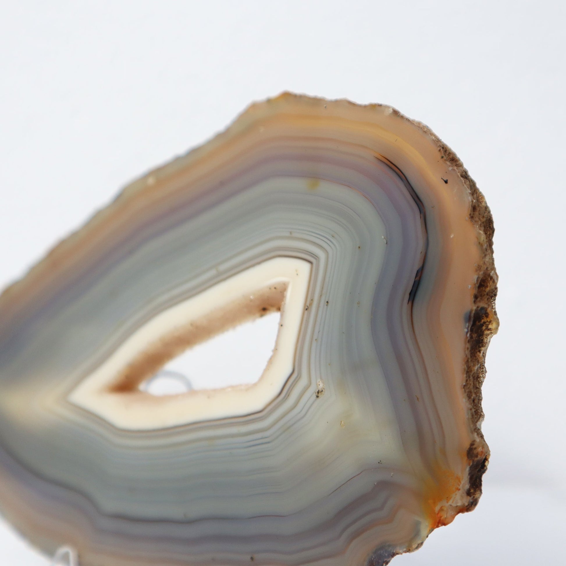 Druzy Center Agate Slice – agate slice