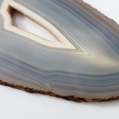 Druzy Center Agate Slice – agate slice