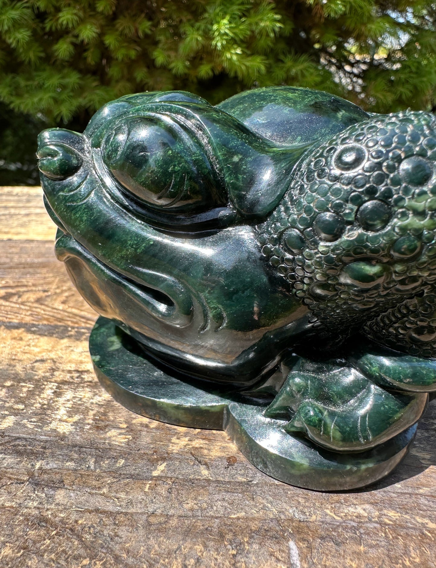 High Quality Dark Green Ogden Jade Toad 5.25" Carved Figurine
