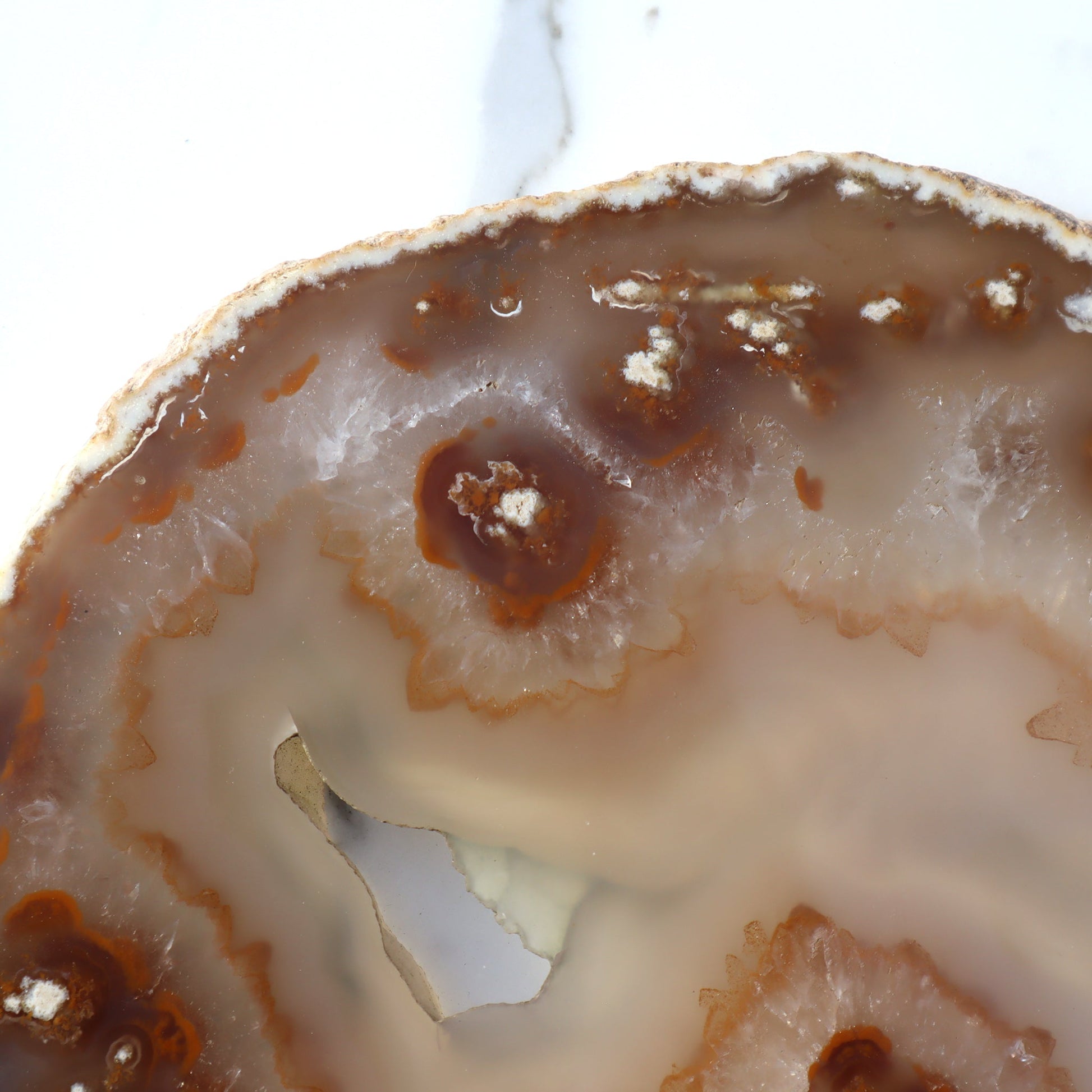 Agate Slice of Botryoidal Inclusions and Crystals – agate slice