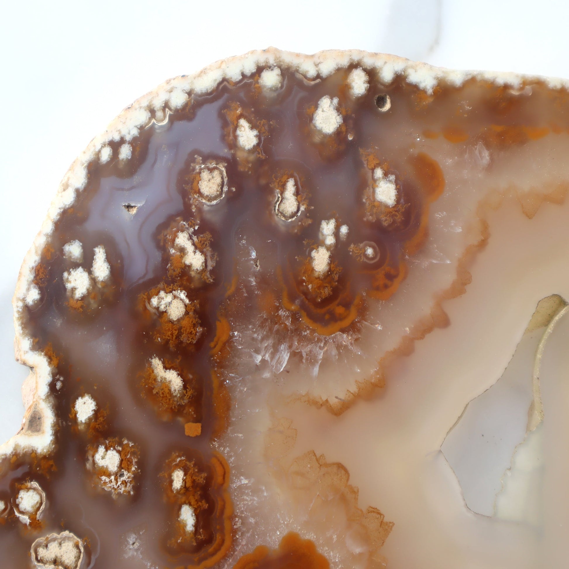Agate Slice of Botryoidal Inclusions and Crystals – agate slice