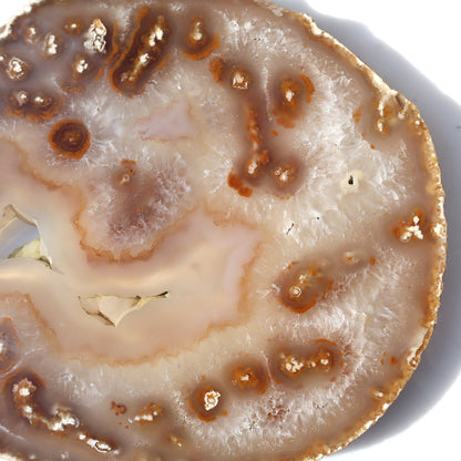 Agate Slice of Botryoidal Inclusions and Crystals – agate slice
