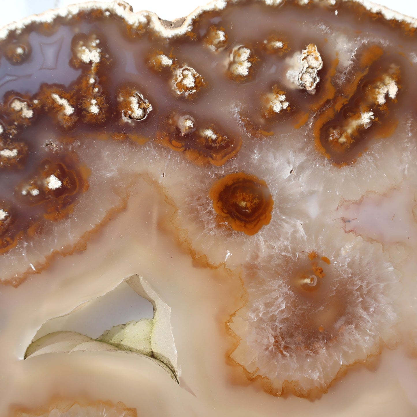 Agate Slice of Botryoidal Inclusions and Crystals – agate slice