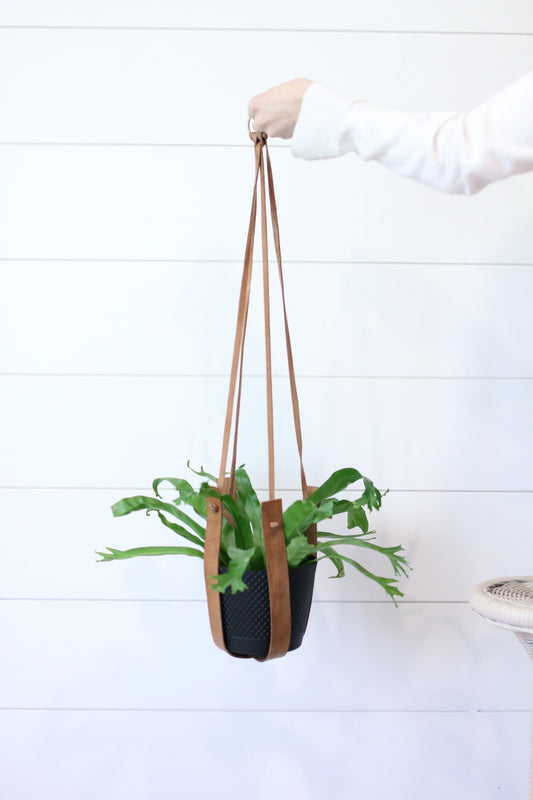 Large Flourish Leather Plant Hanger – plant hanger