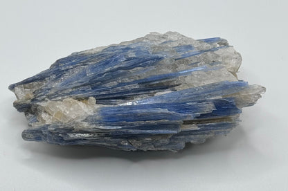 Blue Kyanite w/quartz – 5"