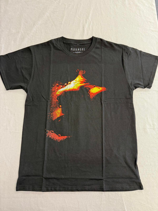 Paramore T-shirt This is Why Album Tee 2 Sided –