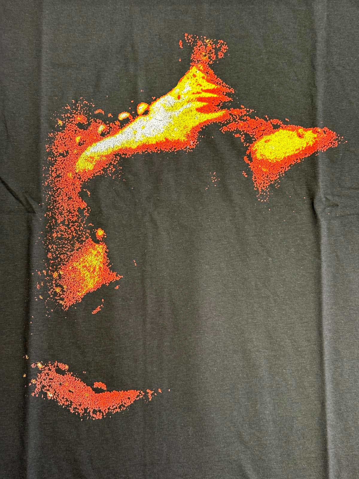 Paramore T-shirt This is Why Album Tee 2 Sided –