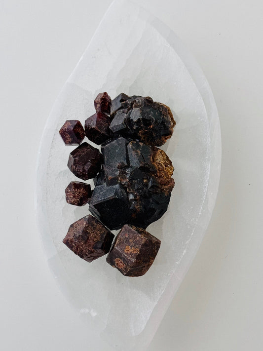 Red Garnet –