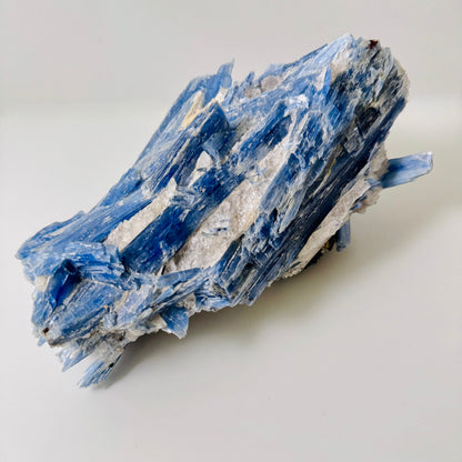 Blue Kyanite w/quartz – XLarge 1.58 kg