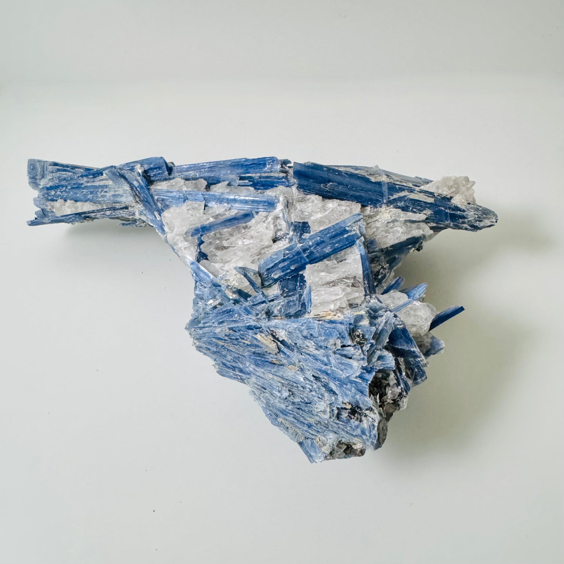 Blue Kyanite w/quartz – Xlarge 1.34 kg