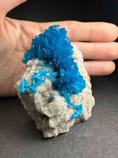 Cavansite with Stilbite on Matrix from Pune, Maharashtra, India – Minerals