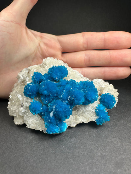 Cavansite with Stilbite on Matrix from Pune, Maharashtra, India