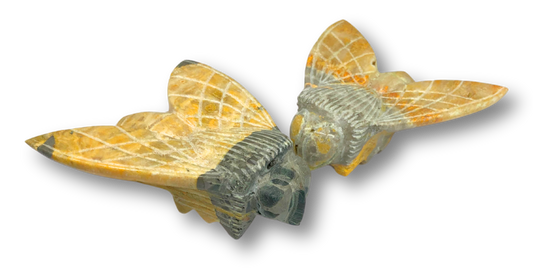 Bumblebee Jasper Bumblebee