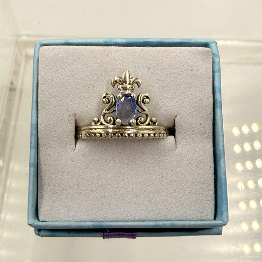 Sterling Silver Princess Crown Tanzanite Ring - Size 7 - Spiritual, Intuitive & Elevated – Rings