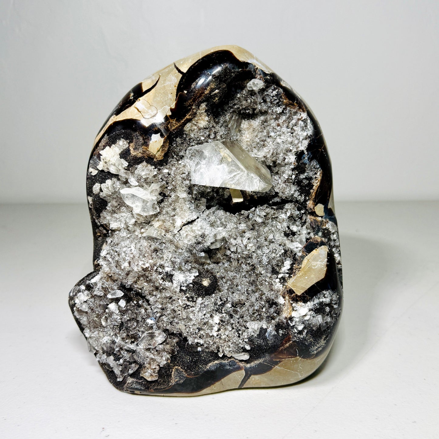 Septarian Dragon Stone - 4.7 lb Druzy Freeform –
