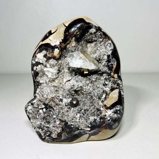 Septarian Dragon Stone - 4.7 lb Druzy Freeform –