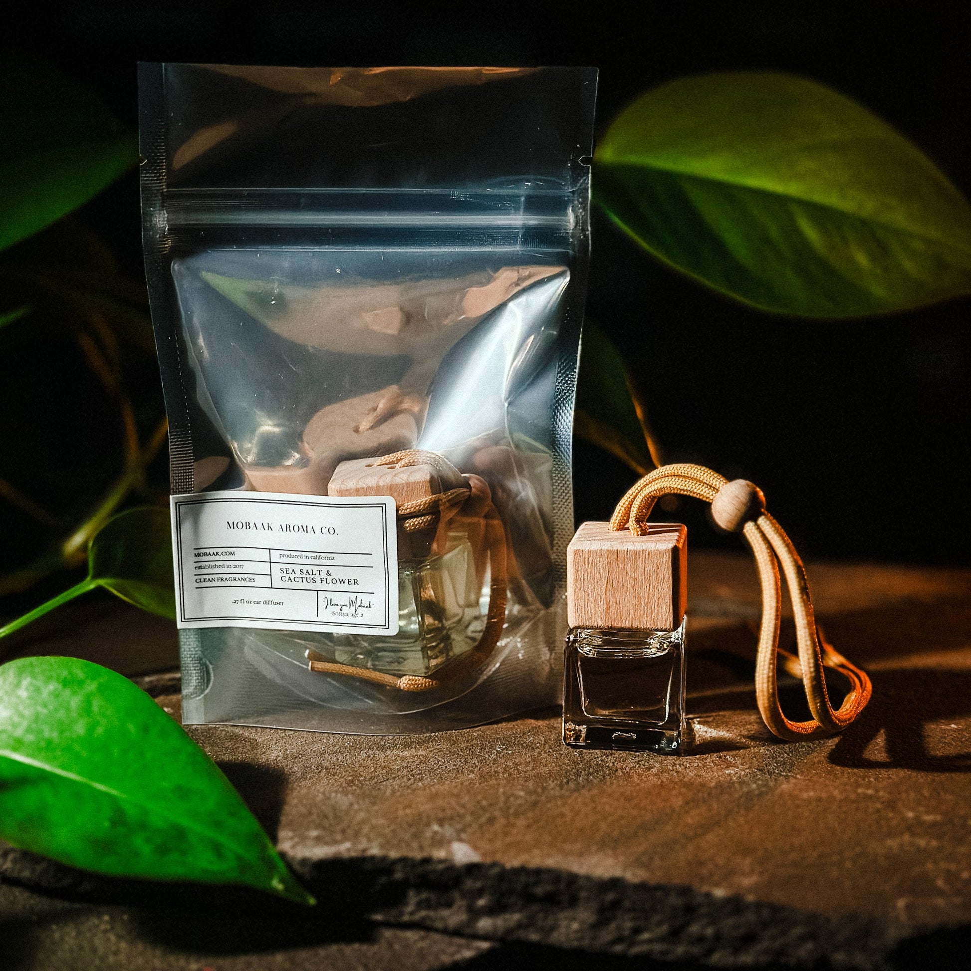 Sea Salt & Cactus Flower Car Diffuser –