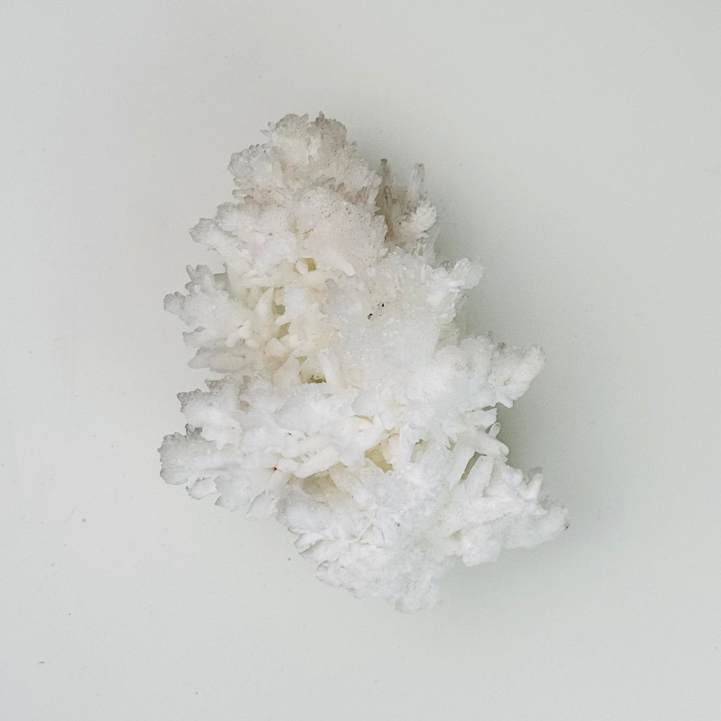 White Aragonite – 3x2x1.5"