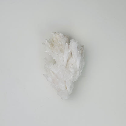 White Aragonite – 3.5x2x0.5"