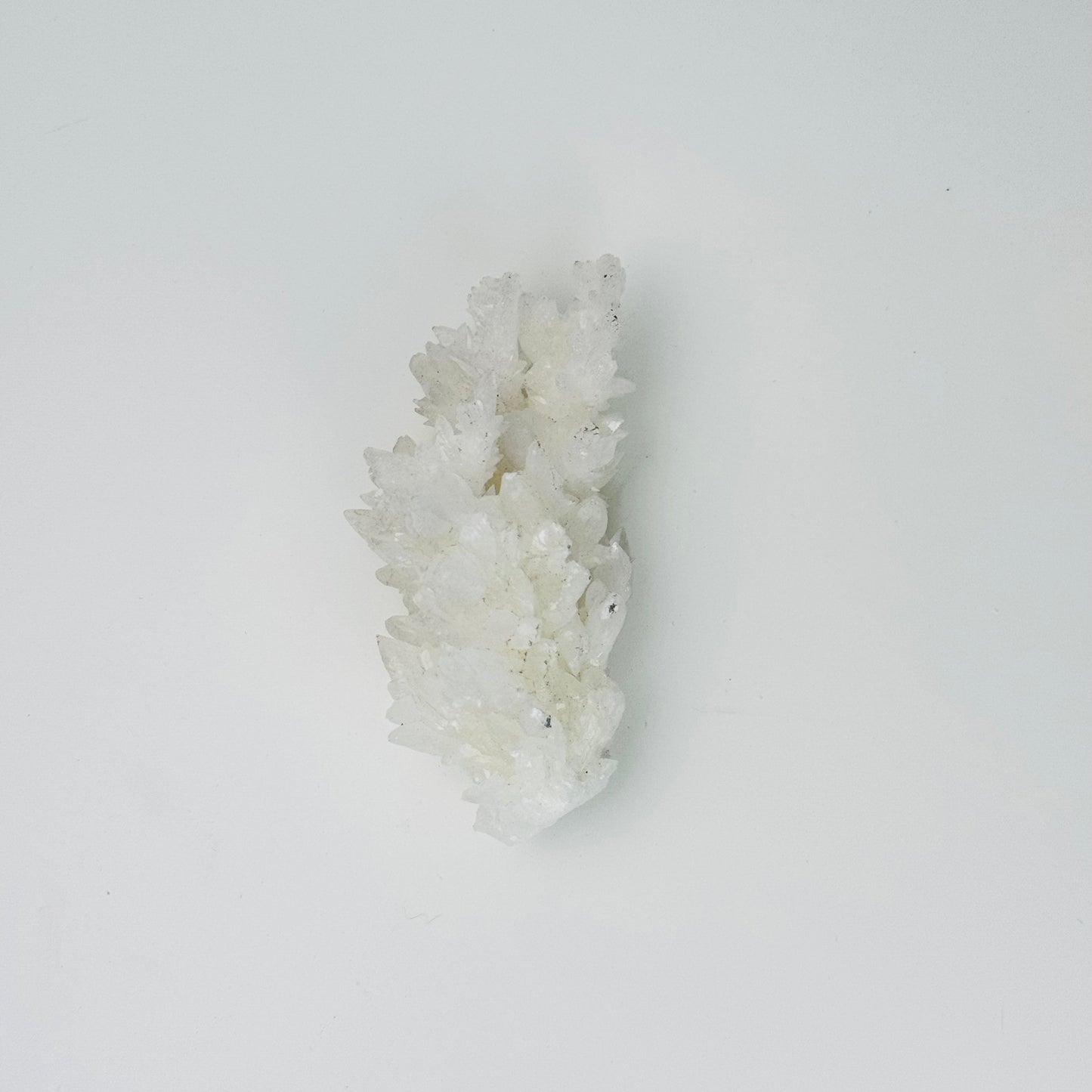 White Aragonite – 3.25x1.5x0.5"