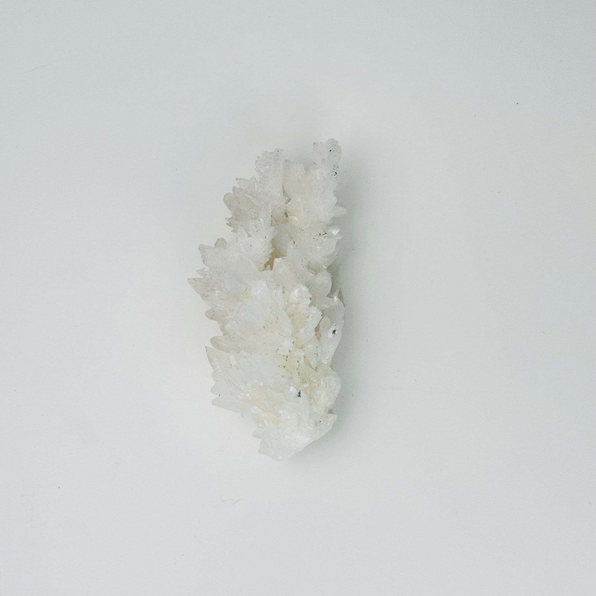 White Aragonite – 3.25x1.5x0.5"