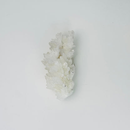 White Aragonite – 3.25x1.5x0.5"