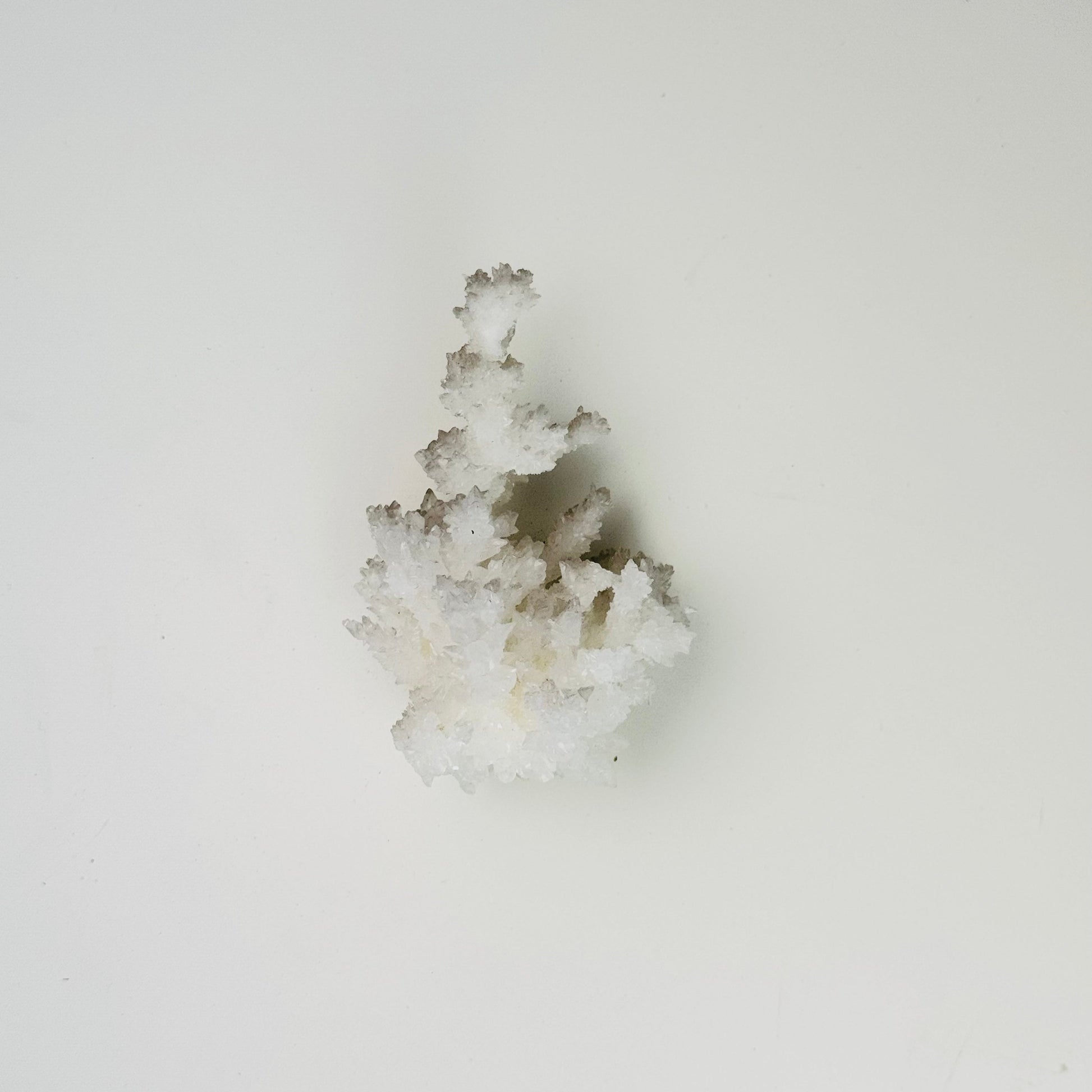 White Aragonite – 3x2x1"