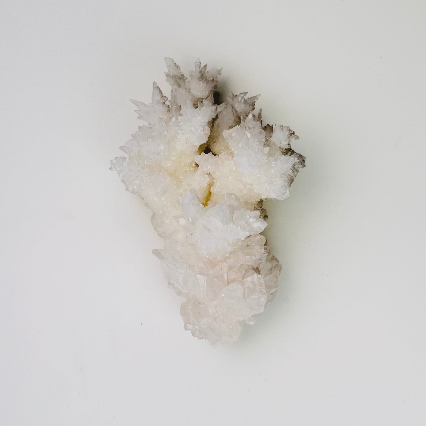 White Aragonite – 3.5x2x1.25"