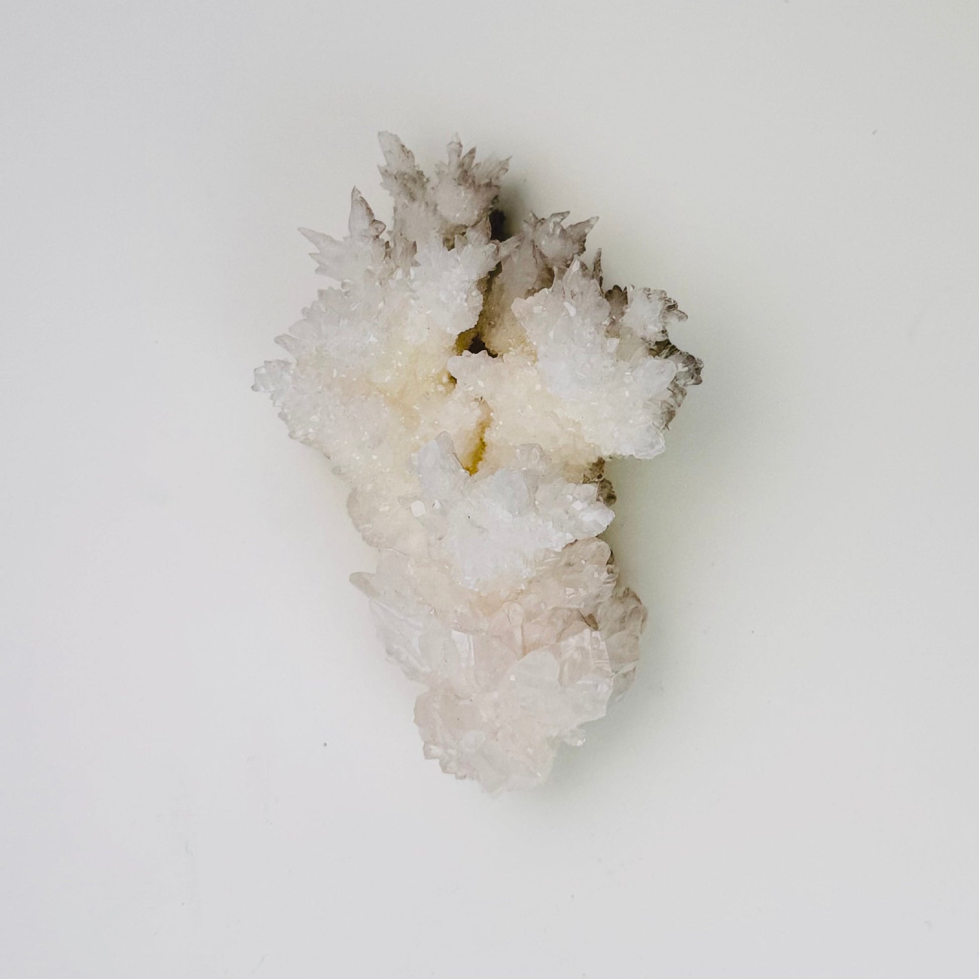 White Aragonite – 3.5x2x1.25"