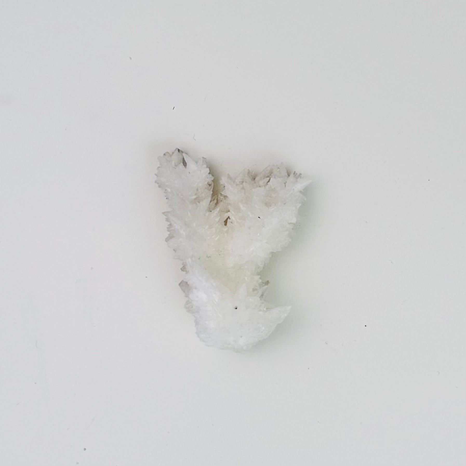 White Aragonite – 1.5x1x0.15"