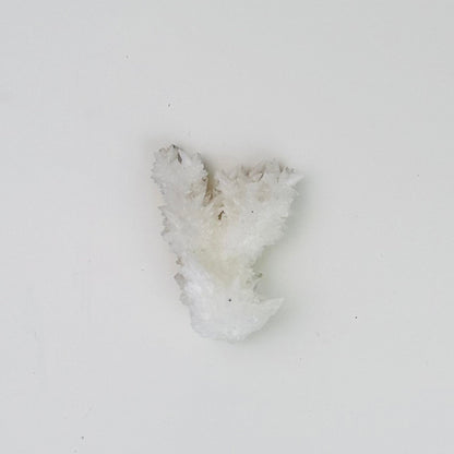 White Aragonite – 1.5x1x0.15"