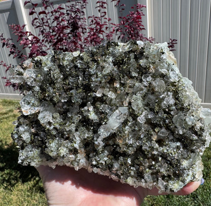 Epidote & Quartz Specimens from Turkey – Natural Mineral Crystals – Large 6x4x2"