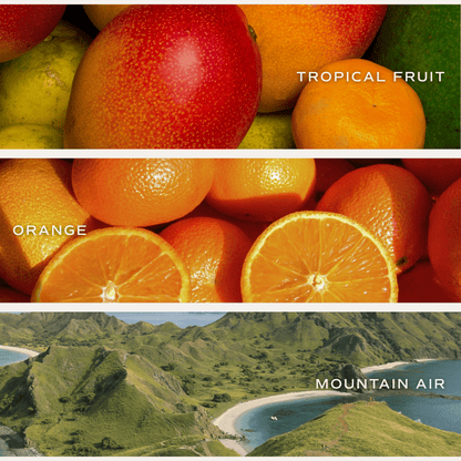 Island Air Reed Diffuser - Tropical Citrus – Reed Diffusers