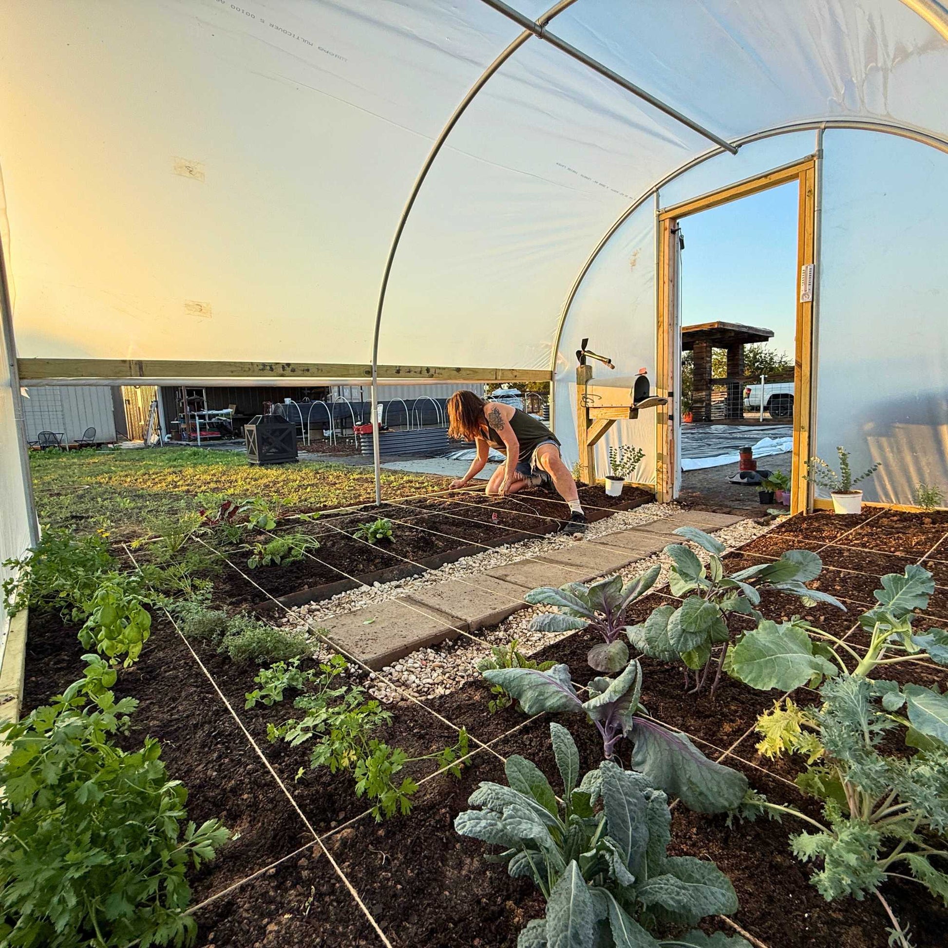 Hobby Greenhouse Kit –