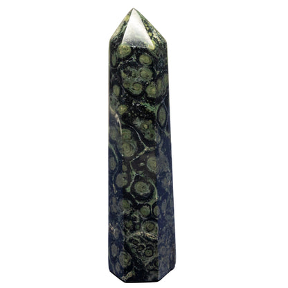 Kambaba Jasper Tower – Kambaba Jasper 352g - 6.00"H Towers