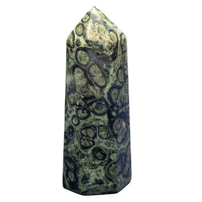 Kambaba Jasper Tower – Kambaba Jasper 406g - 5.25"H Towers