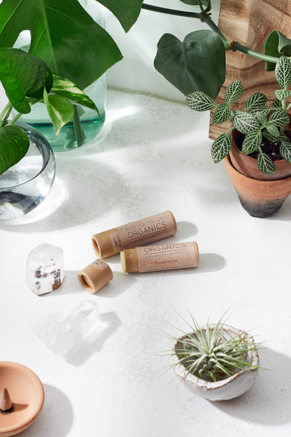 Organic Lip Balm / PAPERBOARD Tube