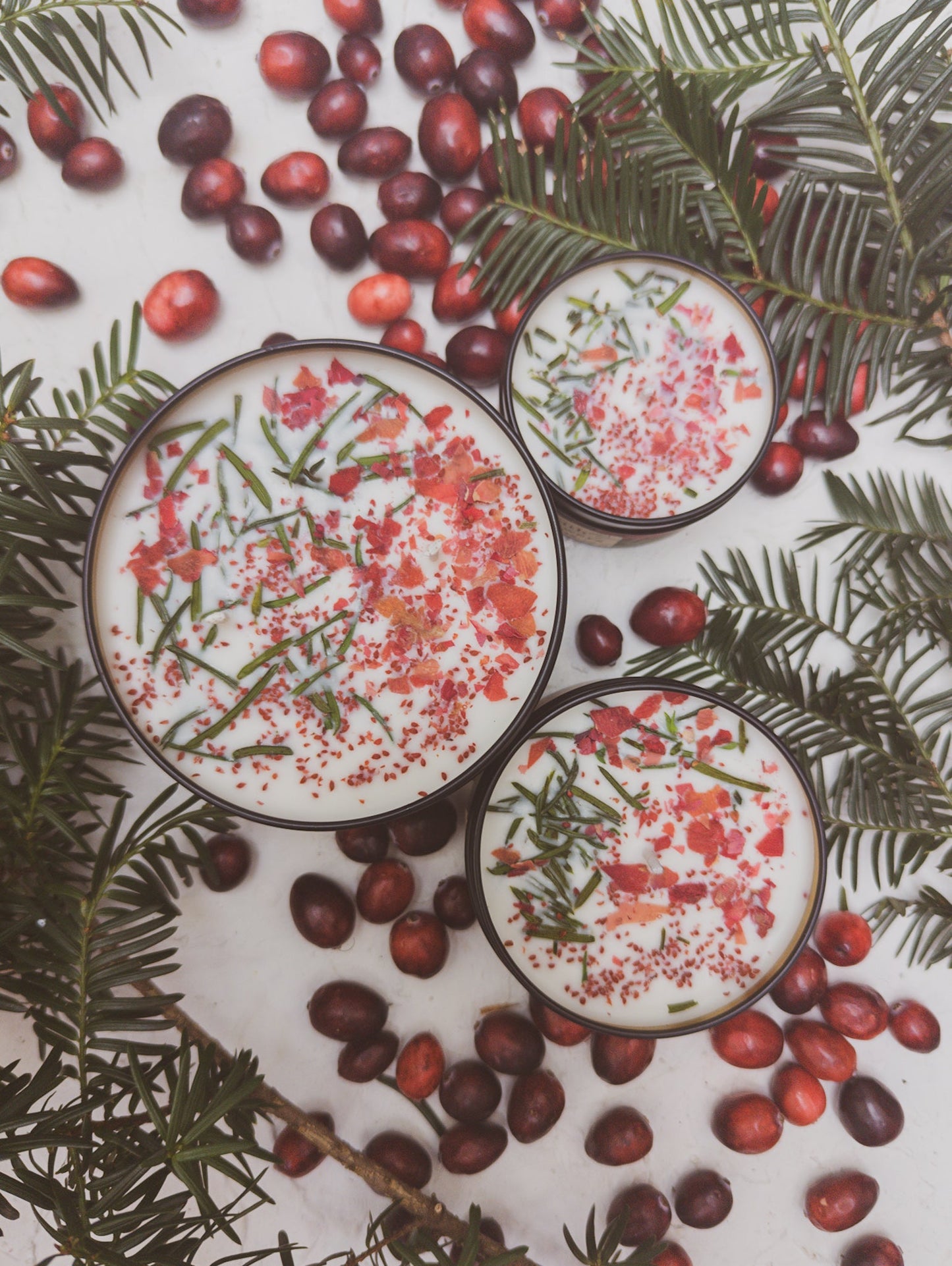 Cranberry Pine 4oz Tin Candle