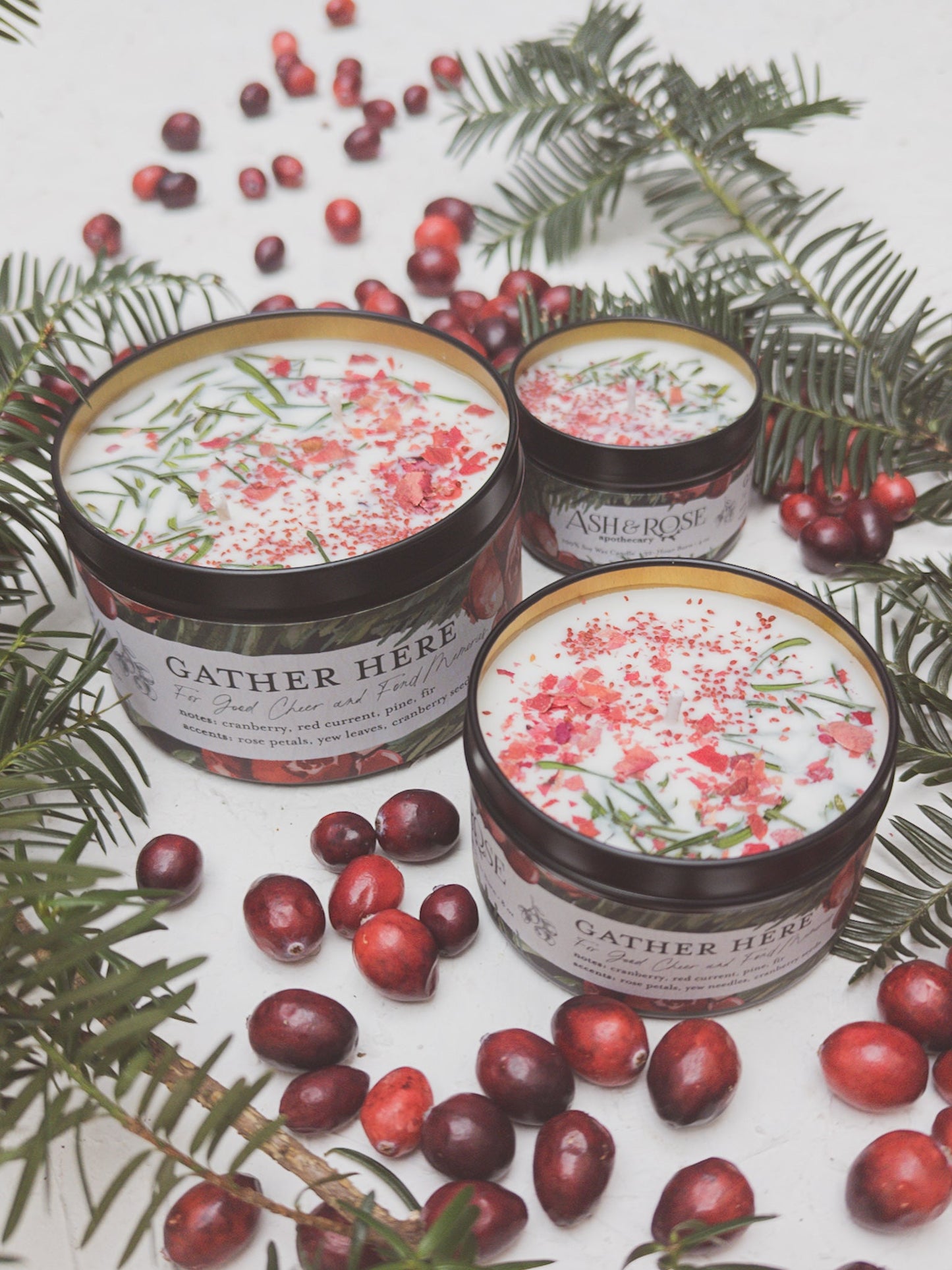 Cranberry Pine 4oz Tin Candle