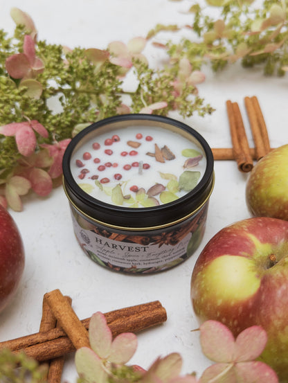 HARVEST Apple Spice 4oz Tin Candle