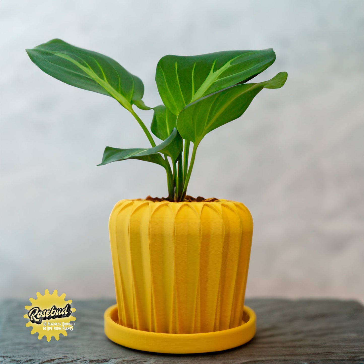 Lunar Bloom Plant Pot | Geometric Faceted Planter – Mustard Pots & Planters