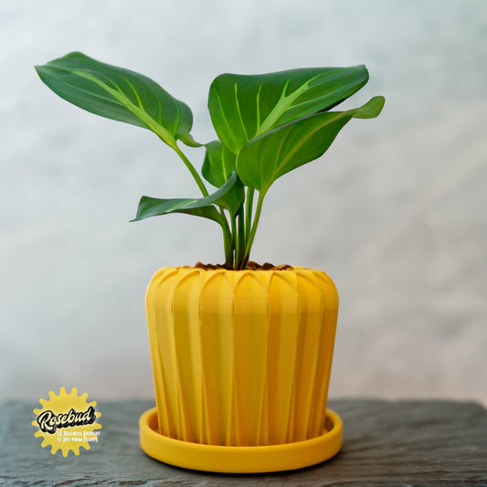 Lunar Bloom Plant Pot | Geometric Faceted Planter – Mustard Pots & Planters